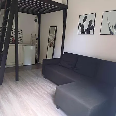 Studio Z Ogrodem Copernicus Apartment *